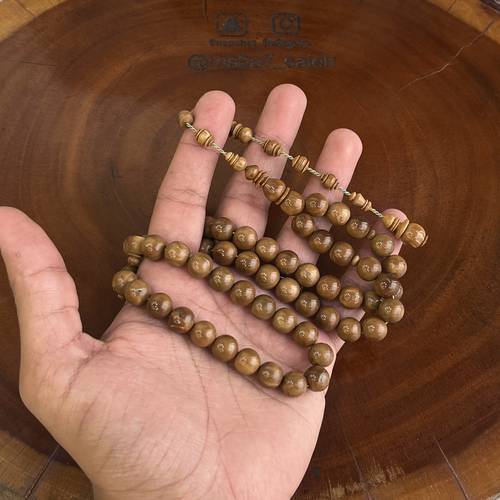 كوك تمليكة حزوز ( خراطة ورشة احمد كامبا )