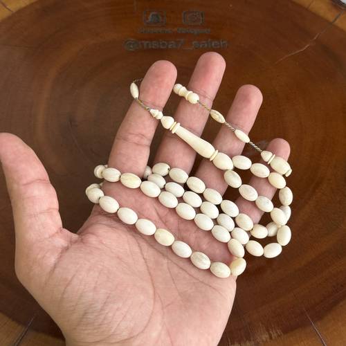 عظم جمل بيضاوي تمليكة