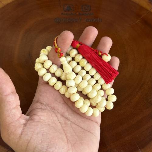 مستكة ذروي ( فواح ) بكركوش من تفصيلنا