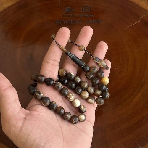 قرن جاموس تمليكة
