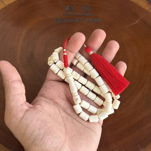 عظم جمل برميلي بكركوش من تفصيلنا