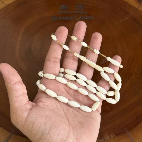 عظم جمل صنوبري تمليكة