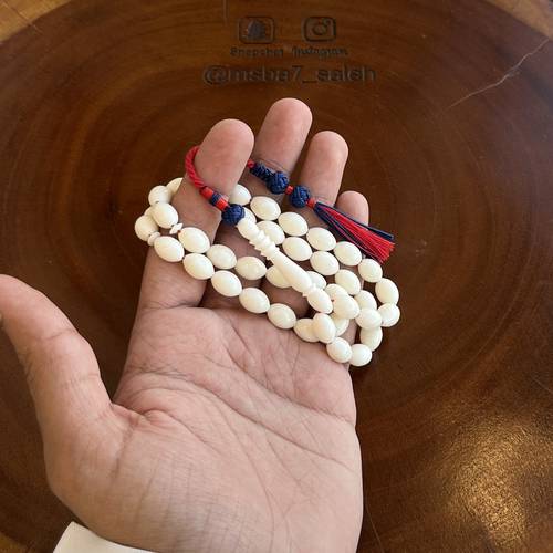 عظم بكركوش من تفصيلنا 