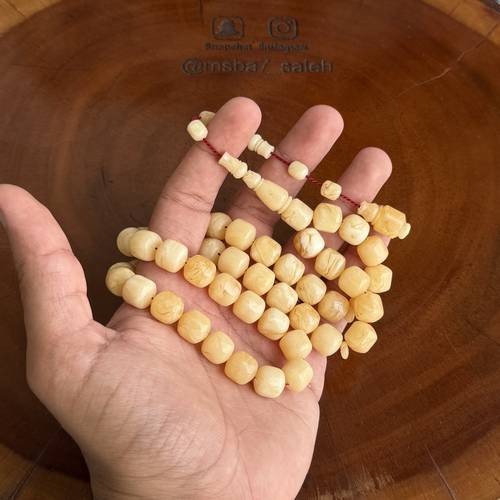 بكلايت صندوقي تمليكة