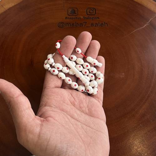 عظم مطعم تمليكة