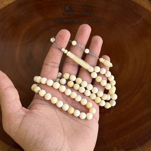 عظم جمل طبيعي تمليكة