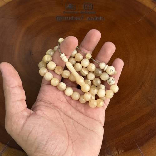 قرن ضأن طبيعي تمليكة