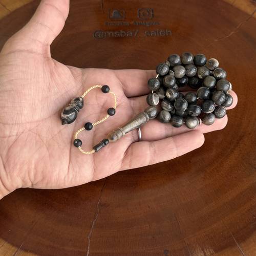 قرن جاموس تمليكة