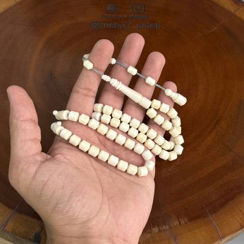 عظم جمل طبيعي تمليكة