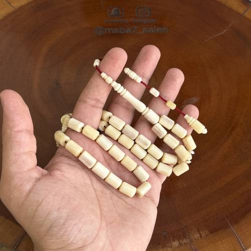 عظم جمل برميلي تمليكة