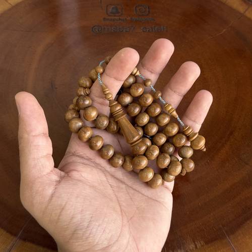 كوك ( شغل مميز ) ذروي تمليكة