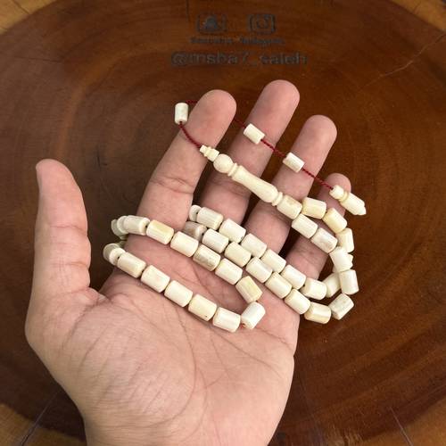 عظم جمل طبيعي تمليكة