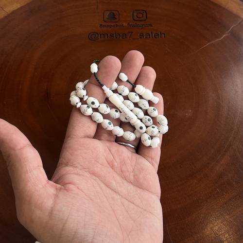 عظم مطعم تمليكة