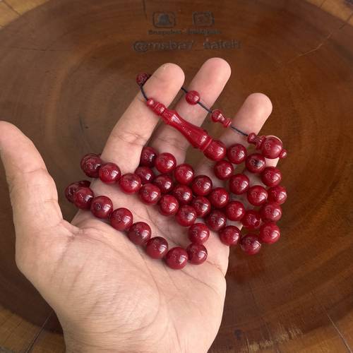 فاتوران صب جديد توتي تمليكة