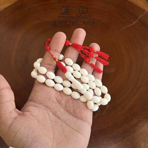عظم بكركوش من تفصيلنا