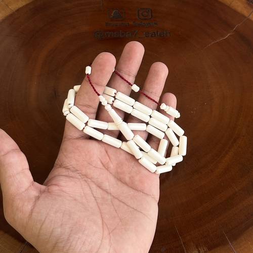 عظم جمل تمليكة