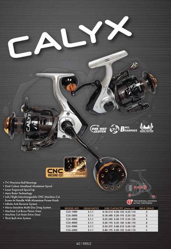 pioneer CALYX