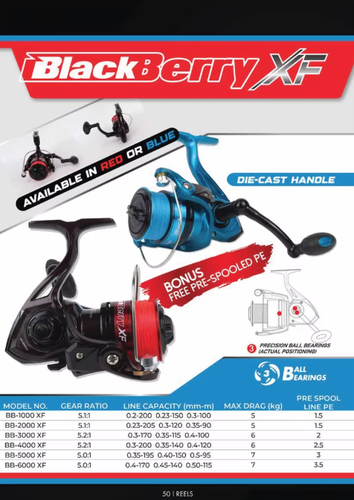 pioneer black berry xf