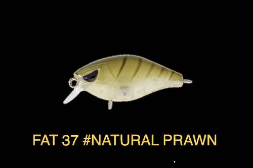 Hurricane Fat 37