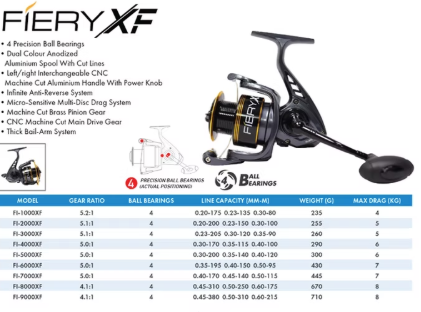 pioneer fiery xb