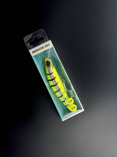 Sasan Sinking Minnow