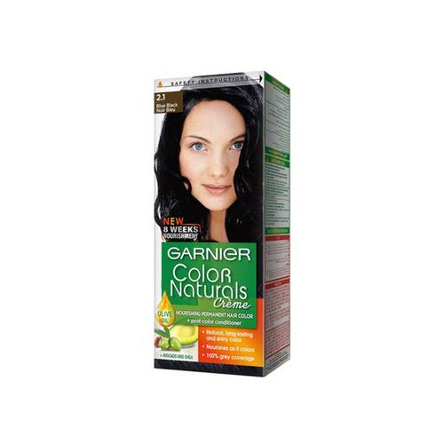 GARNIER Nourishing Permanent Hair Color With Conditioner Blue Black 2.1