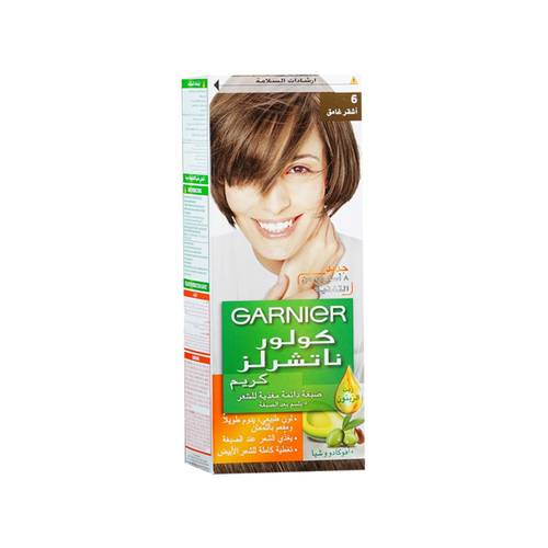 GARNIER Nourishing Permanent Hair Color With Conditioner Dark Blonde 6