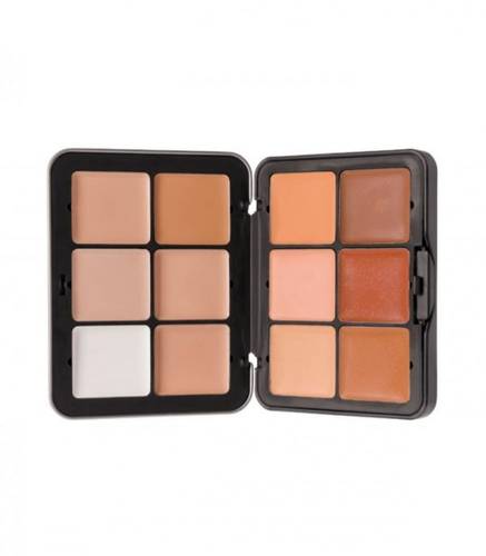 Make Over 22 Foundation And Concealer Palette CC01 :
