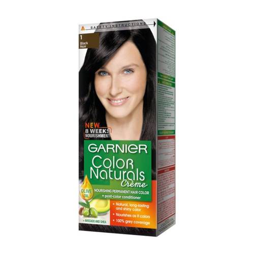 GARNIER Nourishing Permanent Hair Color With Conditioner Black 1