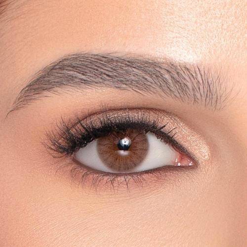 Natural monthly contact lenses - Core Brown