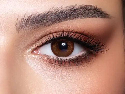 Elite Cinnamon Contact Lenses