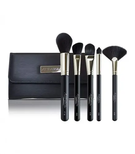 Aesthetica black brush bag with 5 brushes