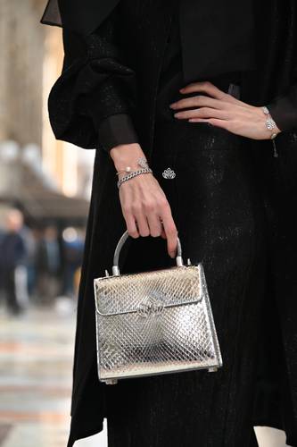 limited Edition Bags Python 