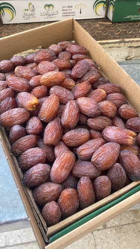 مجدول فاخر
