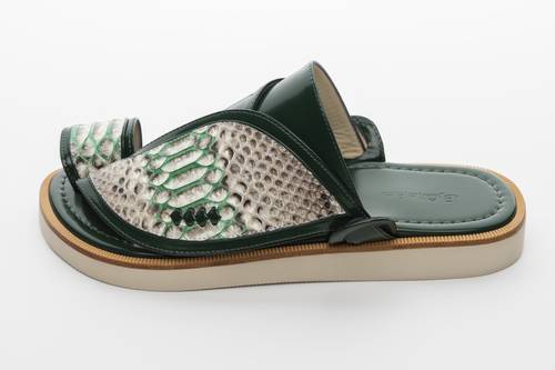 Snake Skin