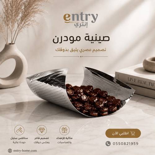صينية تقديم ستيل مودرن