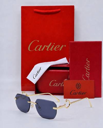 نظارة Carter