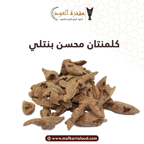 كلمنتان محسن (بنتلي)