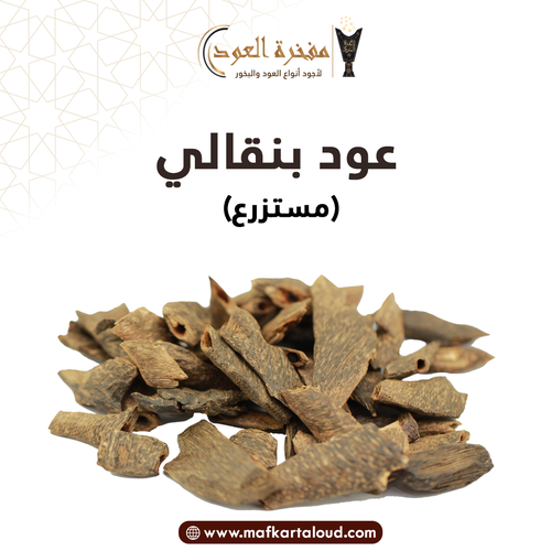 عود بنقالي
