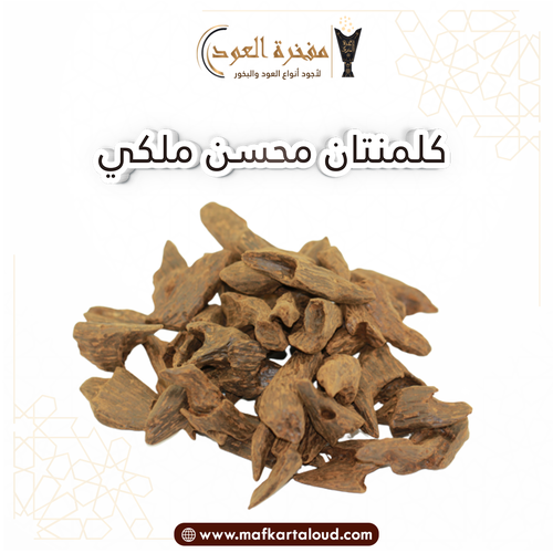 كلمنتان محسن ملكي