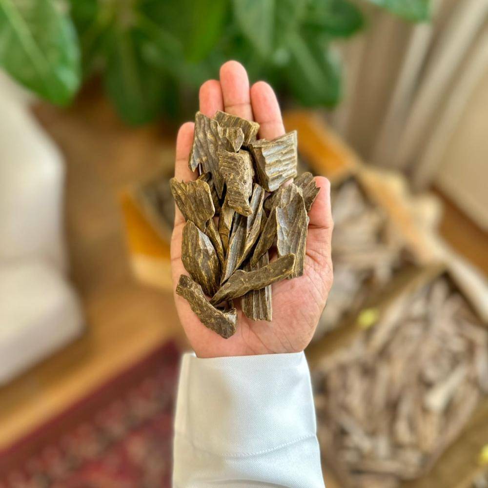 عود كلمنتان - محسن