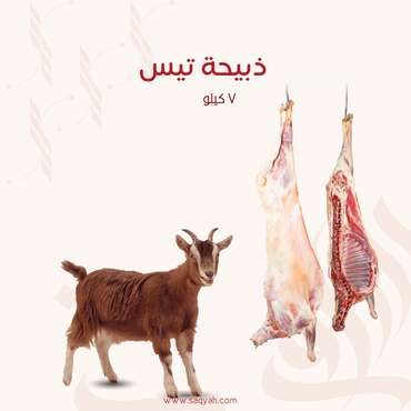 ذبيحة تيس (٧ كيلو)