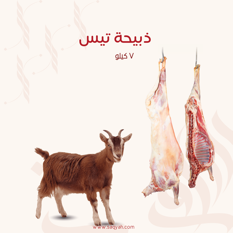 ذبيحة تيس (٧ كيلو)