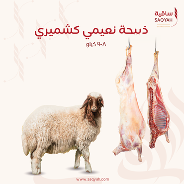 ذبيحة نعيمي كشميري ( 8 - 9 كيلو)