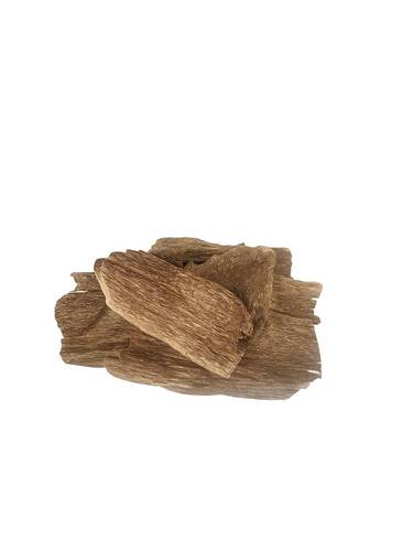 عود جنوب ماليزيا