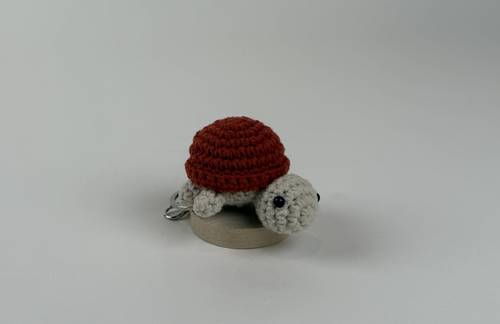 Turtle #1