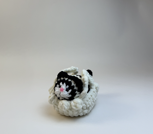 Cat in a Basket #4
