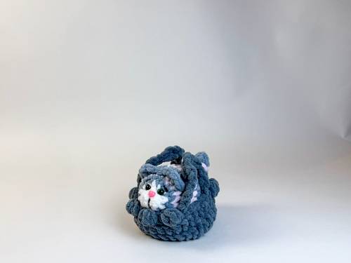 Cat in a Basket #1