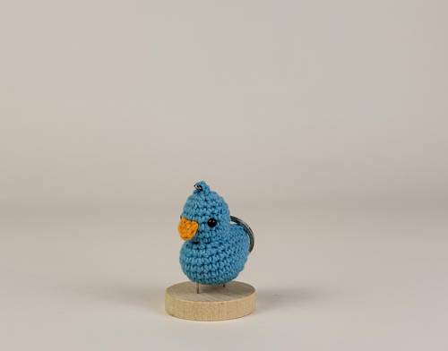 Duck #1