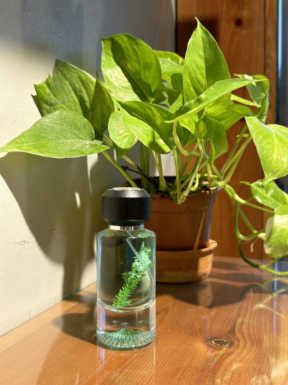 عطر 2022 ,50 مل